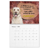 Unglaublich witzig Gedanken meines Labrador Retrie Kalender (Feb 2026)