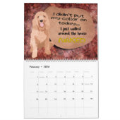 Unglaublich witzig Gedanken zu meinem Goldendoodle Kalender (Feb 2026)