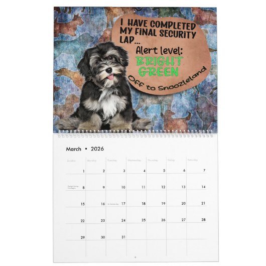 Unglaublich witzig Gedanken zu meinem Havaneskalen Kalender (Mär 2026)