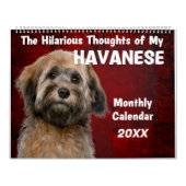 Unglaublich witzig Gedanken zu meinem Havaneskalen Kalender (Titelbild)