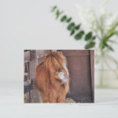 Unglaublich witzig Horsey Postkarte (Stehend Vorderseite)