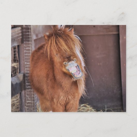 Unglaublich witzig Horsey Postkarte (Vorderseite)