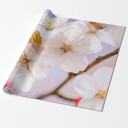 Unglaubliche Schönheit der Blume von Sakura Geschenkpapier (Ungerollt)