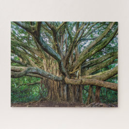 Unglaublicher Banyan Tree Puzzle