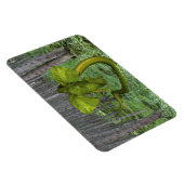 Unglaublicher Elephant Python Magnet (Rechte Seite)