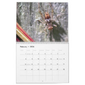 Unglaublicher Insekten-Kalender Kalender (Feb 2026)