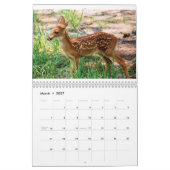 Unglaublicher Kalender des Geschöpf-2014 (Mär 2027)