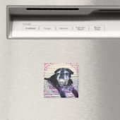 Unglaublicher Magnet: "Rescue" ist die beste Rasse Magnet (In Situ (Geschirrspüler))