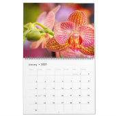Unglaublicher Orchideenkalender Kalender (Jan 2027)