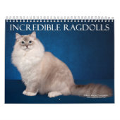Unglaublicher Ragdolls Wandkalender (Titelbild)