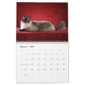 Unglaublicher Ragdolls Wandkalender (Feb 2027)