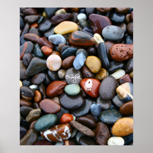 Unglaublicher Strand Poster (Vorne)