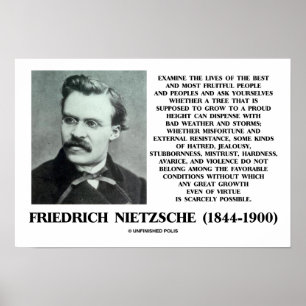 Unglückliche günstige Bedingungen Wachstum Nietzsc Poster