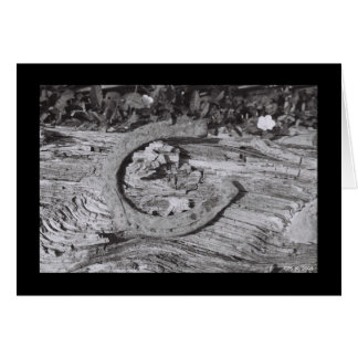 Unglückliches Glück