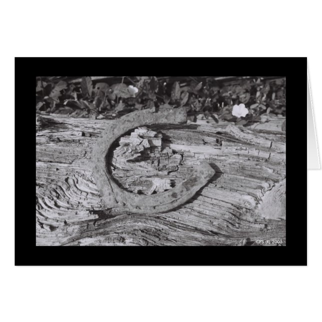 Unglückliches Glück (Vorderseite (Horizontal))