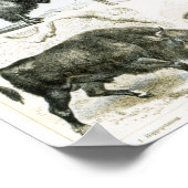 Ungulata oder Haustiere Poster (Ecke)