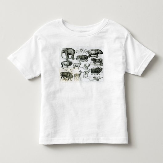 Ungulata oder Huftiere Kleinkind T-shirt (Vorderseite)