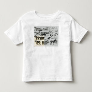 Ungulata oder Huftiere Kleinkind T-shirt