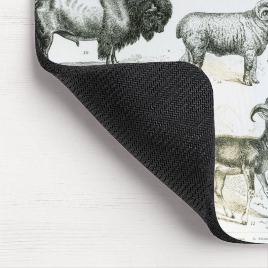 Ungulata oder Huftiere Mousepad (Ecke)
