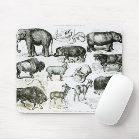 Ungulata oder Huftiere Mousepad (Mit Mouse)