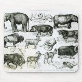 Ungulata oder Huftiere Mousepad (Vorne)