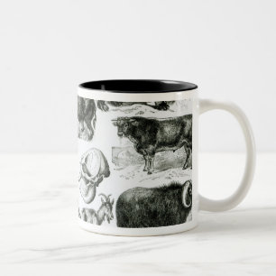 Ungulata oder Huftiere Zweifarbige Tasse