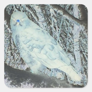 Unheimlicher Bussard auf Ast Halloween Wildlife Wa Quadratischer Aufkleber