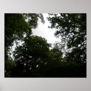 Unheimlicher Wald Druck Poster