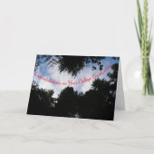 Uni-Abschluß Wises Karte (Vorderseite)