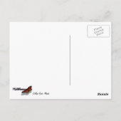 Uni Fjord I Beautiful Alaska Fotografie Postkarte (Rückseite)