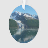 Uni Fjord II Schöne Alaska Fotografie Ornament (Vorderseite)