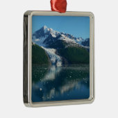 Uni Fjord II Schöne Alaska Fotografie Silbernes Ornament (Rechts)
