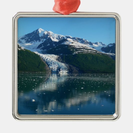 Uni Fjord II Schöne Alaska Fotografie Silbernes Ornament (Vorne)