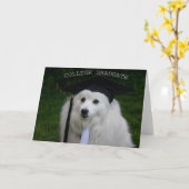 Uni Gradulate Karte (Gelbe Blume)