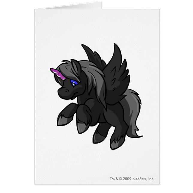 Uni Schatten (Vorne)