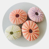 Uni Sea Urchin Kleiner Rundaufkleber Runder Aufkleber (Vorderseite)