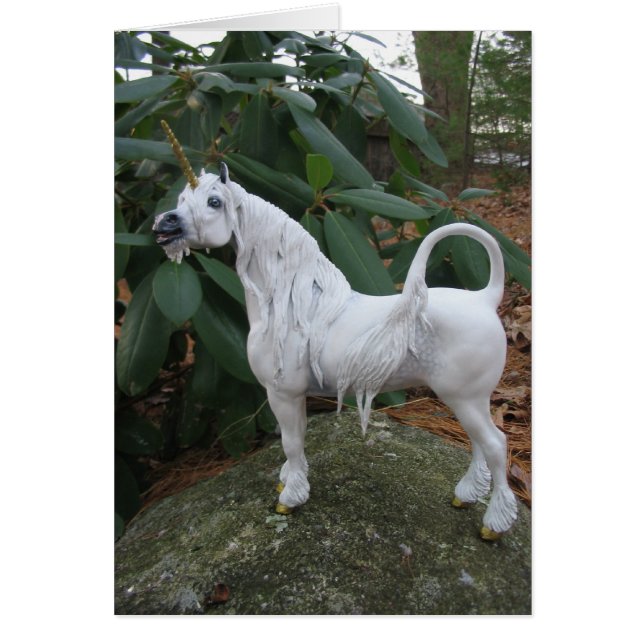 Unicorn anrufen (Vorne)