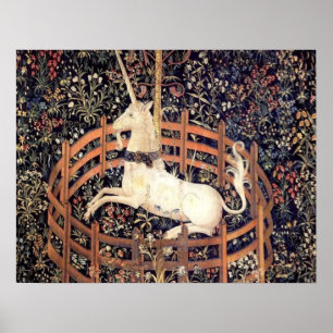 Unicorn in Gefangenschaft Poster