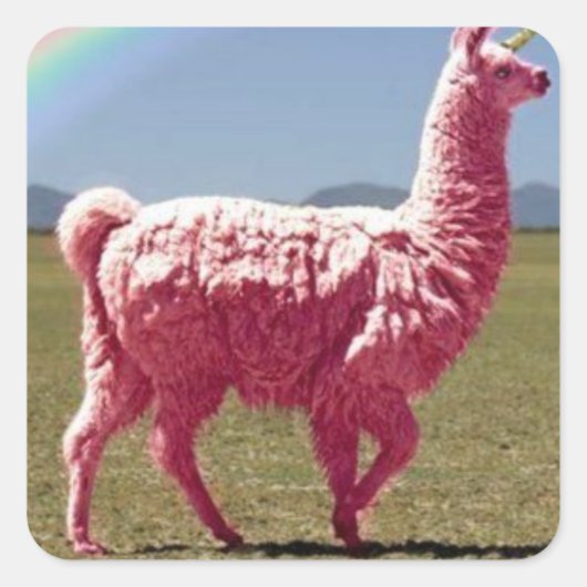 Unicorn-Lama-Aufkleber Quadratischer Aufkleber (Vorderseite)