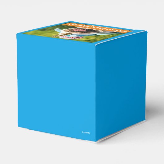 Unicorn-Mops Geschenkschachtel (Rückseite)