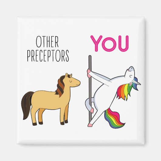 Unicorn Nurse Preceptor Gift Magnet (Vorne)