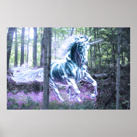 Unicorn Poster (Vorne)