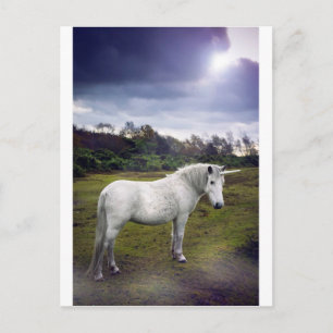 UNICORN POSTKARTE