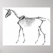 Unicorn Skeleton Poster (Vorne)