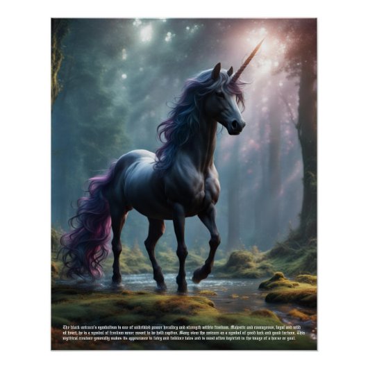 Unicorn-Symbolismus Poster (Vorderseite)