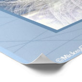 Unicorn White Beauty Poster (Ecke)