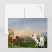 Unicorns Meet Horses Fanasy land Postkarte (Vorne/Hinten)