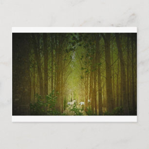 Unicorns Postkarte