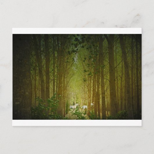 Unicorns Postkarte (Vorderseite)