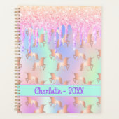 Unicorns rosa Tropfen Name holografisch Planer (Vorderseite)